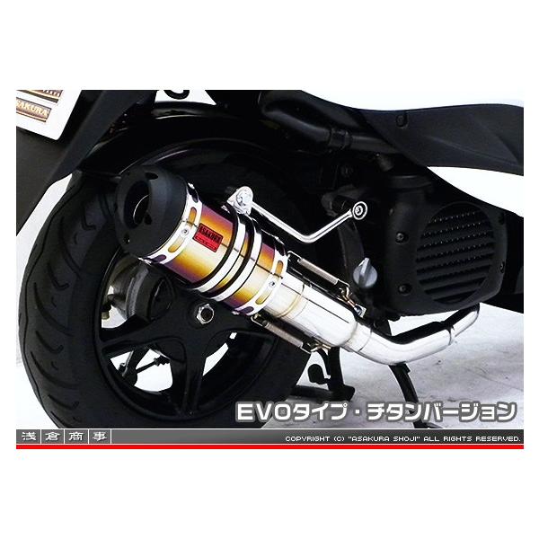 ZZR^Cv}t[ EVO^Cv `^o[W ASAKURAiqj r[miVINOjSA54J