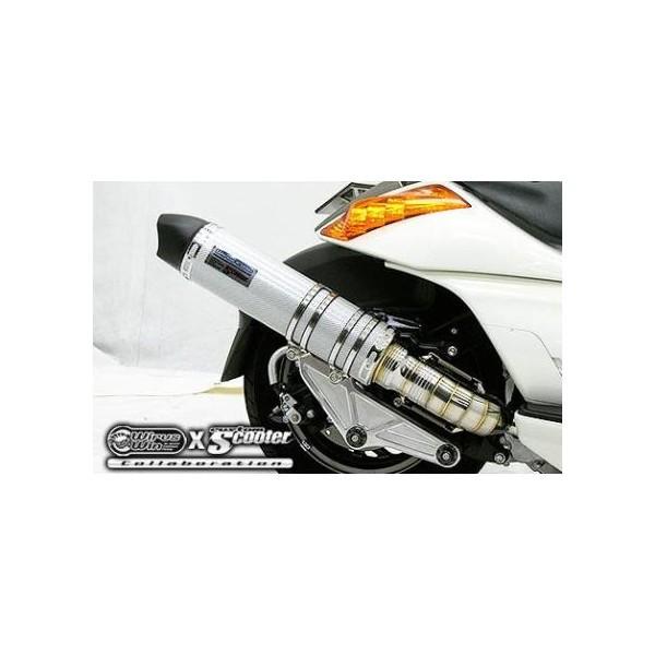 WF}iGEMMAj r[gCbg}t[ Vo[J[{dl ECYEBiWirusWinj