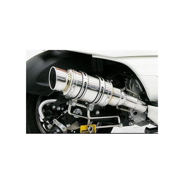 WF}iGEMMAj Ag~bNV[g}t[|bp[^Cv XeX ECYEBiWirusWinj