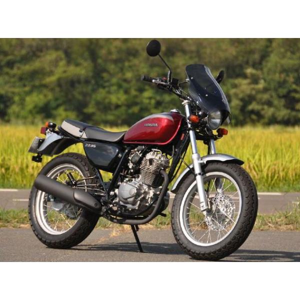 CB223S（08年〜） ガイラシールド Sサイズ スモーク CHIC DESIGN