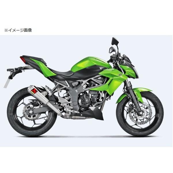 Ninja250SLijW250SLj15N XbvI}t[iGP^CvTCT[j  AKRAPOVICiAN|Bb`j