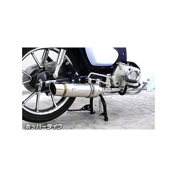 C}t[ |bp[^Cv XeX ECYEBiWirusWinj X[p[JuC125i2BJ-JA48j