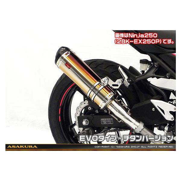 TTR^Cv}t[ XbvI EVO^Cv `^o[W ASAKURAiqj Ninja400ijW400j2BL-EX400G