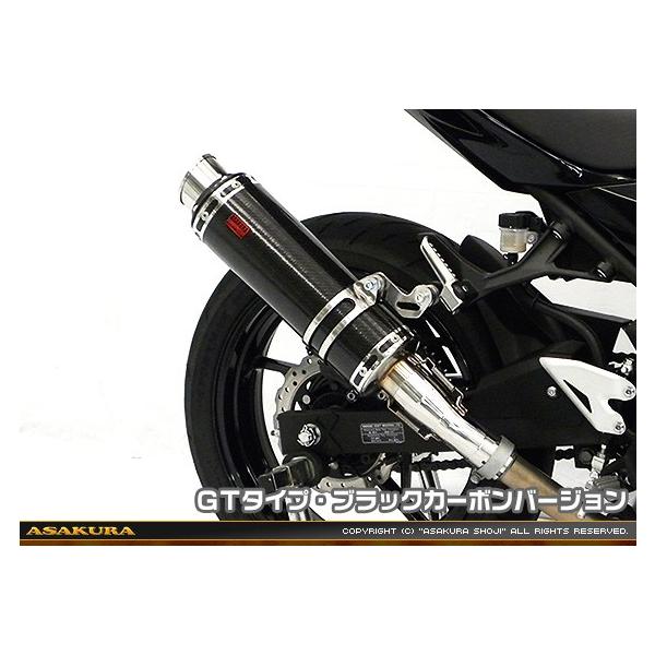 TTR^Cv}t[ XbvI GT^Cv ubNJ[{o[W ASAKURAiqj Ninja400ijW400j2BL-EX400G