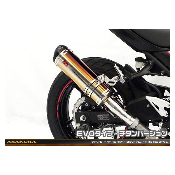 TTR^Cv}t[ XbvI EVO^Cv `^o[W ASAKURAiqj Ninja250ijW250j2BK-EX250P