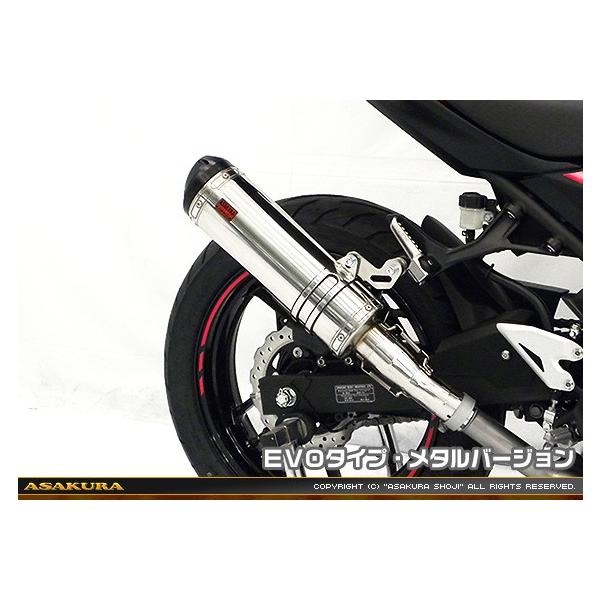 TTR^Cv}t[ XbvI EVO^Cv ^o[W ASAKURAiqj Ninja250ijW250j2BK-EX250P