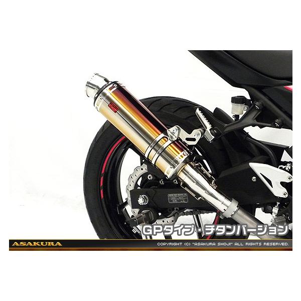 TTR^Cv}t[ XbvI GP^Cv `^o[W ASAKURAiqj Ninja250ijW250j2BK-EX250P