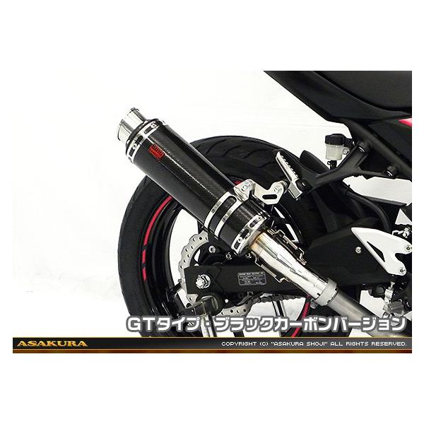 TTR^Cv}t[ XbvI GT^Cv ubNJ[{o[W ASAKURAiqj Ninja250ijW250j2BK-EX250P