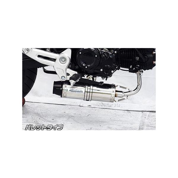 �_�E���}�t���[ �o���b�g�^�C�v �t���G�L�]�[�X�g �E�C���Y�E�B���iWirusWin�j GROM�i�O�����j3�^