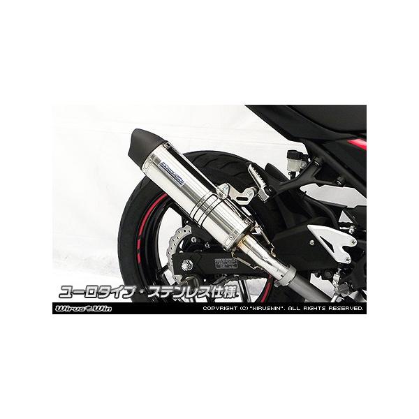 XbvI}t[ [^Cv XeXdl ECYEBiWirusWinj Ninja250ijW250j2BK-EX250P