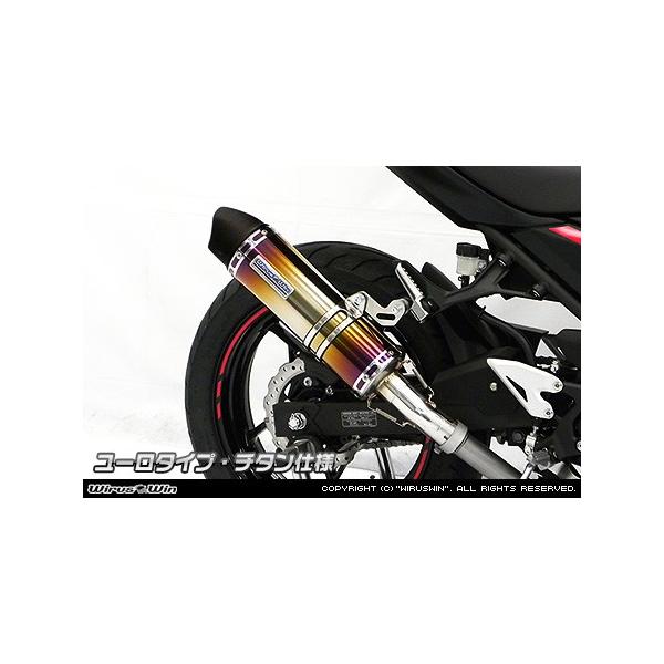 XbvI}t[ [^Cv `^dl ECYEBiWirusWinj Ninja250ijW250j2BK-EX250P