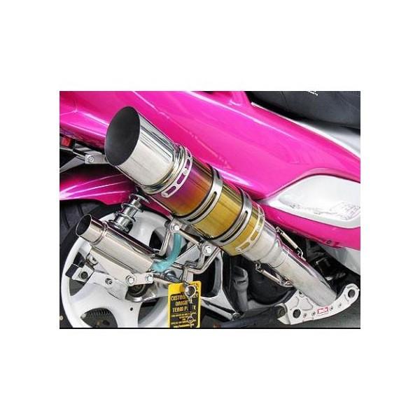 }WFXeB125iMAJESTY125j r[XgV[g}t[ ^CvE ECYEBiWirusWinj