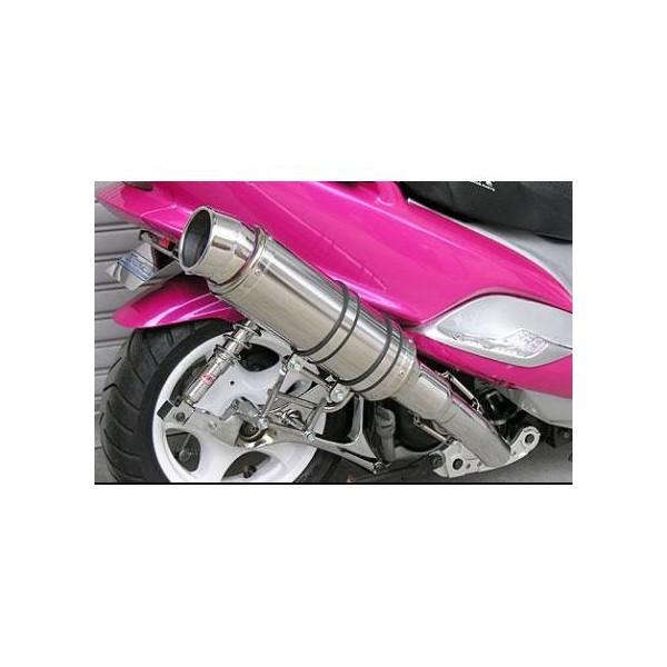 }WFXeB125iMAJESTY125j r[Xg}t[ ^CvS ECYEBiWirusWinj