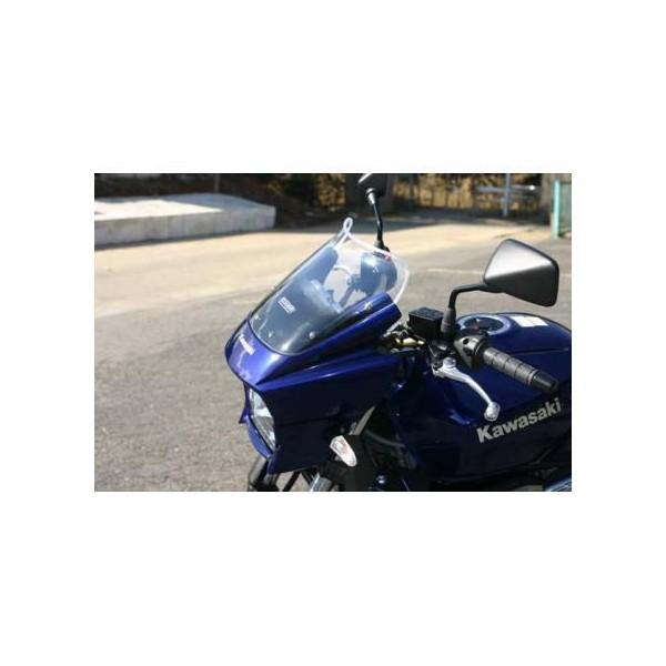スクリーン zrx1100」の人気商品一覧 | 安い商品を通販サイトから探す