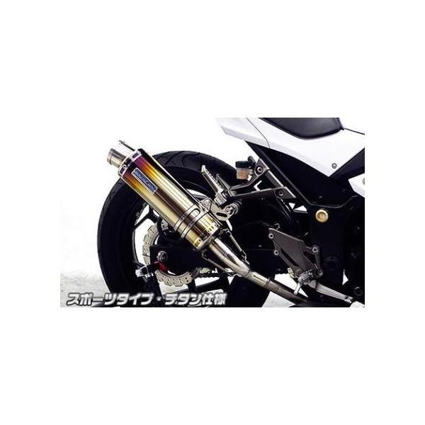 Ninja250ijWjJBK-EX250L XbvI}t[ X|[c^Cv `^ ECYEBiWirusWinj