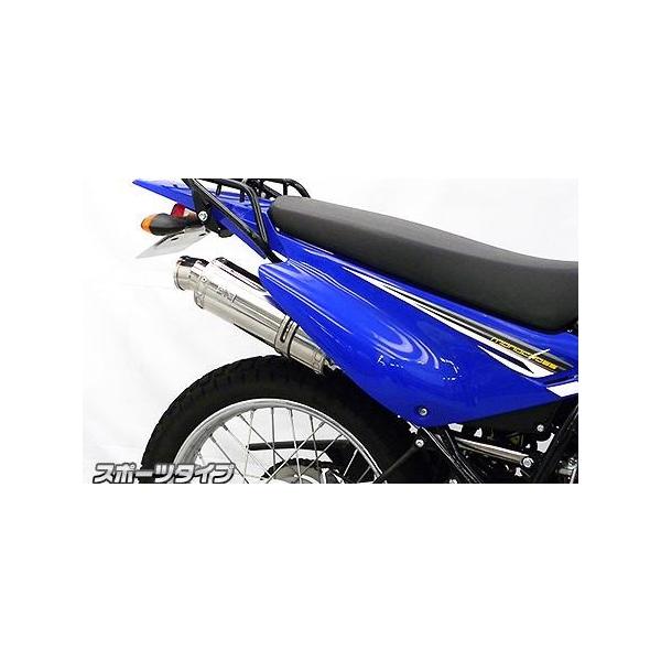 �X���b�v�I���}�t���[�X�|�[�c�^�C�v �X�e�����X �E�C���Y�E�B���iWirusWin�j XTZ125