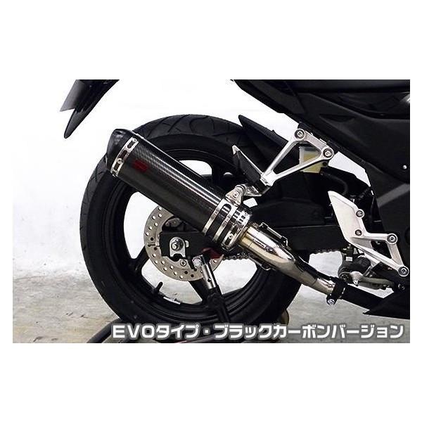 CB250Fi14`j TTR^CvXbvI}t[ EVO^Cv ubNJ[{o[W ASAKURAiqj