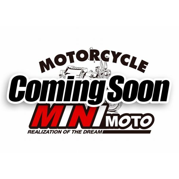 L[pCT110n^[JuTu^NtXe[ MINIMOTOi~jgj L[iMONKEYj