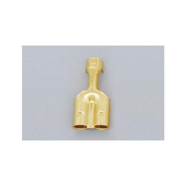 CA/CW104^_uM{V[q X 100 DAYTONAifCgij