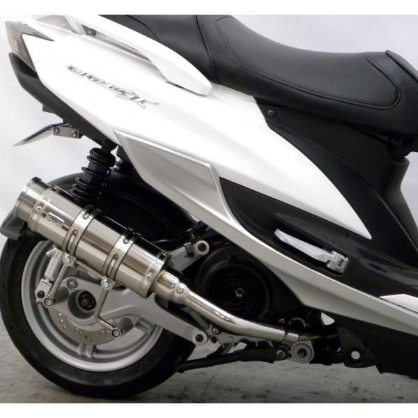 VOiXXiCYGNUS-Xj4^ C}t[ oY[J[^Cv XeX ECYEBiWirusWinj