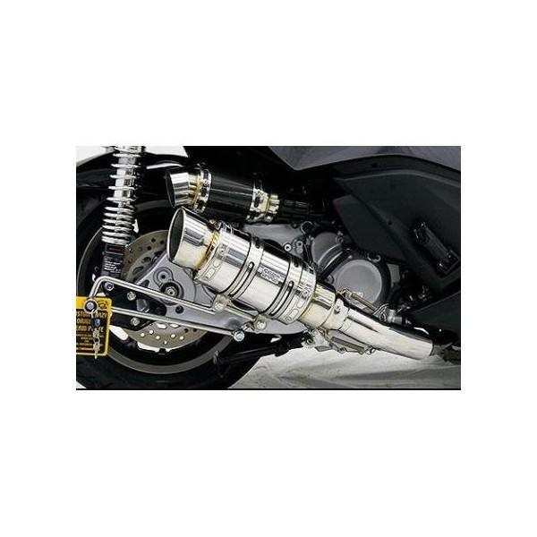 tFCYiFAZEj Ag~bNV[g}t[ XeX ECYEBiWirusWinj