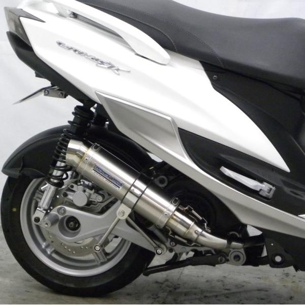 VOiXXiCYGNUS-Xj4^ Vbg}t[ X|[c^Cv ECYEBiWirusWinj