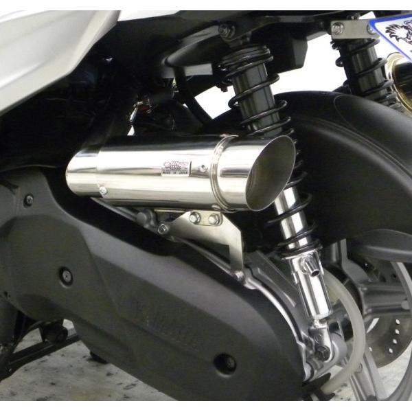 VOiXXiCYGNUS-Xj4^ TCT[^ GAN[i[Lbg |bp[^Cv ECYEBiWirusWinj