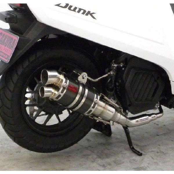 _NiDunkjAF74 ZZR^Cv}t[ DH^Cv ubNJ[{o[W ASAKURAiqj