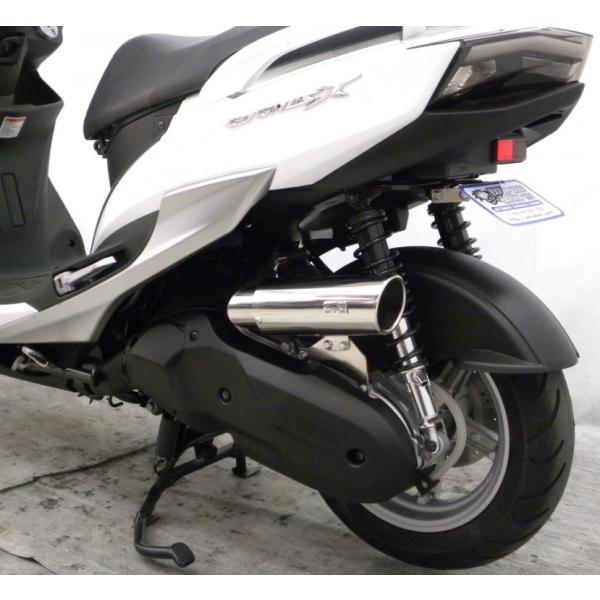 VOiXXiCYGNUS-Xj4^ Lp[^Cv GAN[i[Lbg ECYEBiWirusWinj