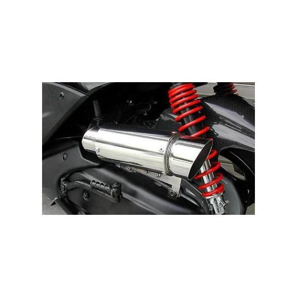 VOiXXi1^jSE12J TCT[^ GAN[i[Lbg|bp[^Cv ECYEBiWirusWinj