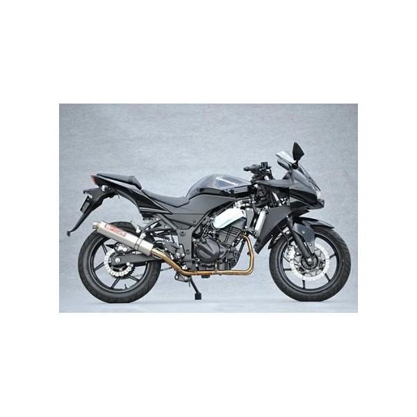 SPEC-A XeX}t[2-1 `^TCT[ YAMAMOTO RACINGi}g[VOj Ninja250RijWj08Nf