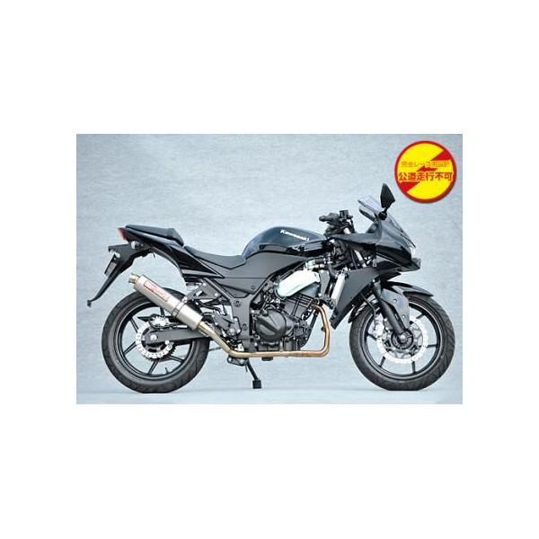 XeX}t[2-1 `^ [Xp YAMAMOTO RACINGi}g[VOj Ninja250RijWj08Nf