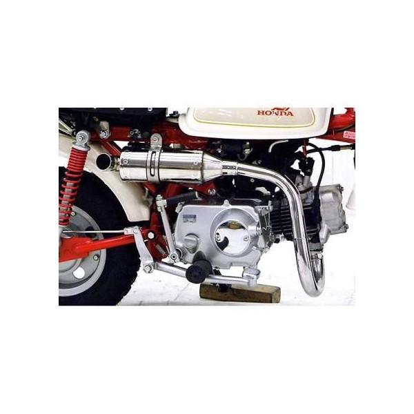 L[iMONKEYjCWFNV RJ^Cv}t[ [VO^Cv ASAKURAiqj