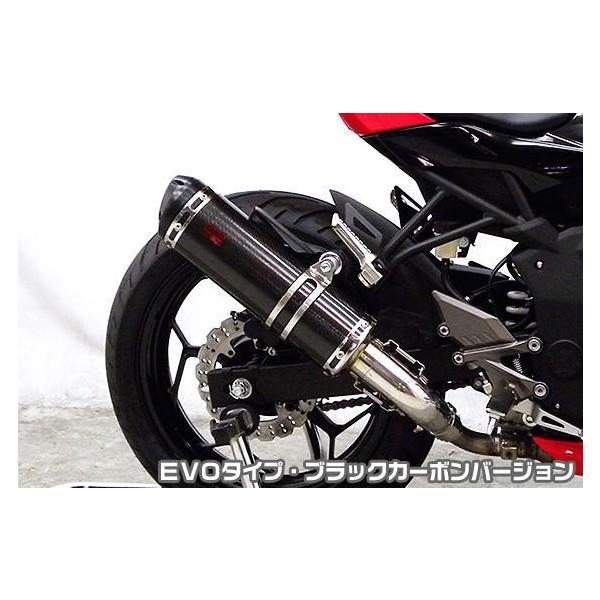 Ninja250SLijW250SLjJBK-BX250A TTR^CvXbvI}t[ EVO^Cv ubNJ[{o[W ASAKURAiqj