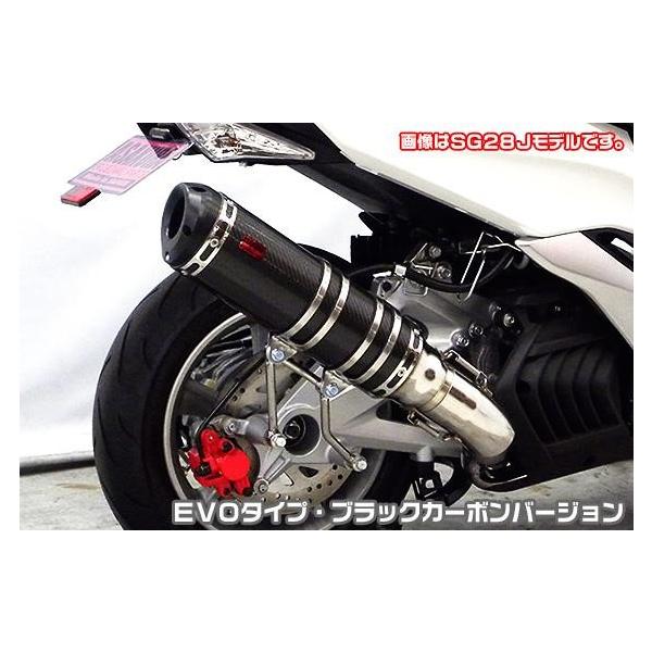 TTR^Cv}t[ EVO^Cv ubNJ[{o[W ASAKURAiqj }WFXeBSi2BK-SG52Jj