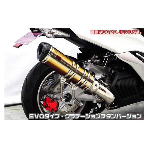 TTR^Cv}t[ EVO^Cv Of[V`^o[W ASAKURAiqj }WFXeBSi2BK-SG52Jj