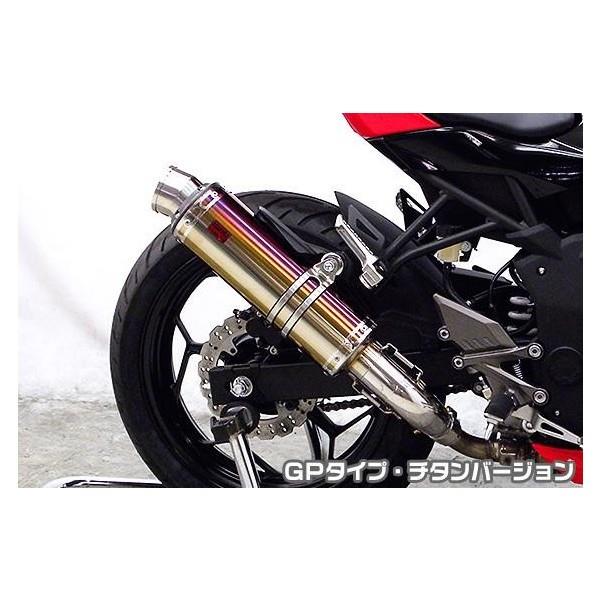 Ninja250SLijW250SLjJBK-BX250A TTR^CvXbvI}t[ GP^Cv `^o[W ASAKURAiqj