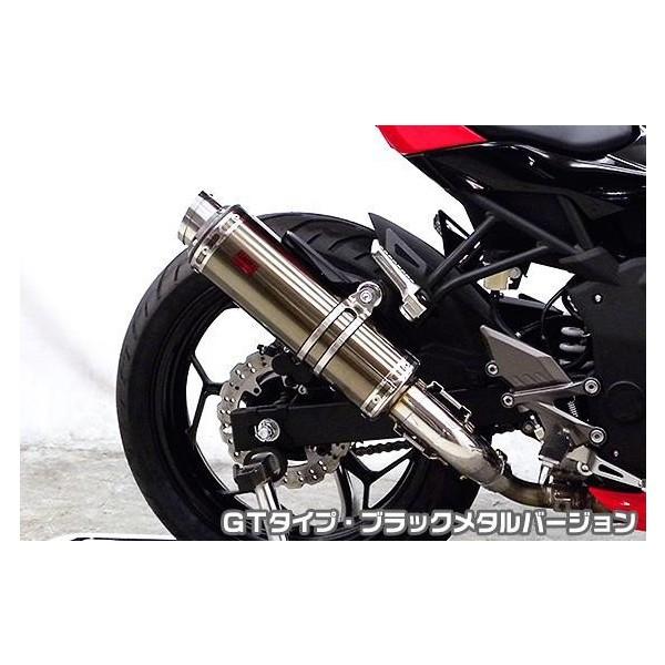 Ninja250SLijW250SLjJBK-BX250A TTR^CvXbvI}t[ GT^Cv ubN^o[W ASAKURAiqj
