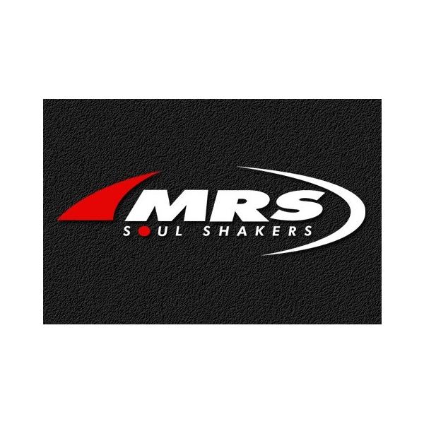 CB400Fouri^j XbgP[u Type-2piAbvnhj ubN 150mmO GebNiM-TECj