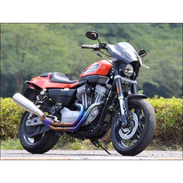 KC uo[hV[h NAXN[ CHIC DESIGNiVbNfUCj XR1200/Xi09N`j