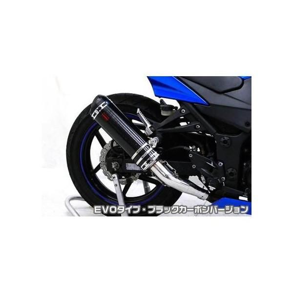 Ninja250RijWj TTR^Cv}t[XbvI EVO^Cv ubNJ[{ ASAKURAiqj