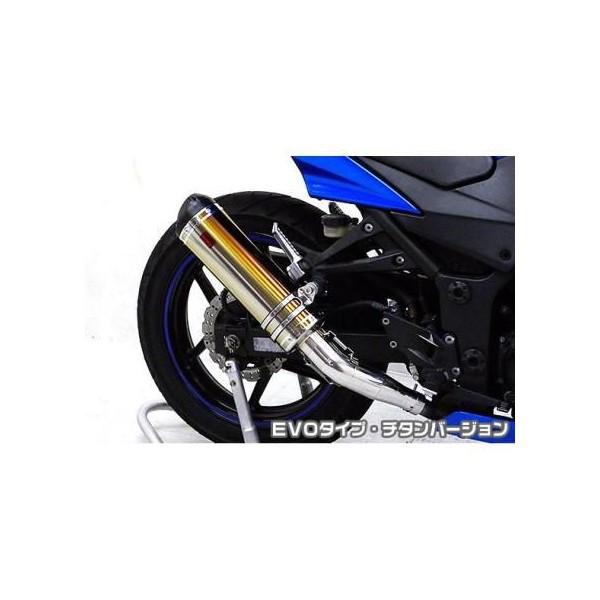 Ninja250RijWj TTR^Cv}t[XbvI EVO^Cv `^o[W ASAKURAiqj