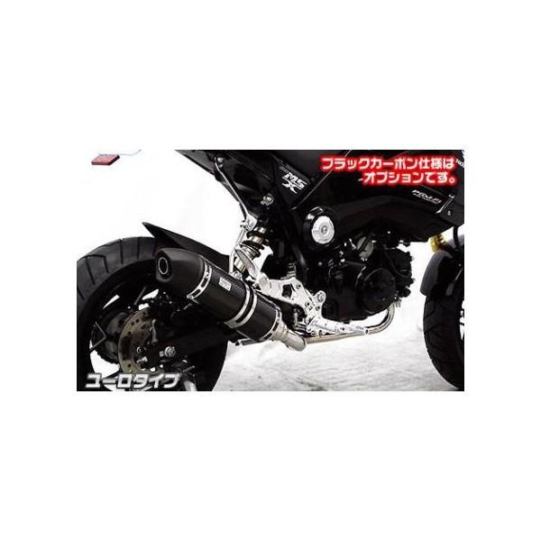 GROMiOji1^j13`15N C_E}t[[^Cv ubNJ[{ ECYEBiWirusWinj