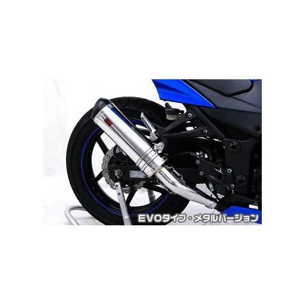 Ninja250RijWj TTR^Cv}t[XbvI EVO^Cv ^o[W ASAKURAiqj