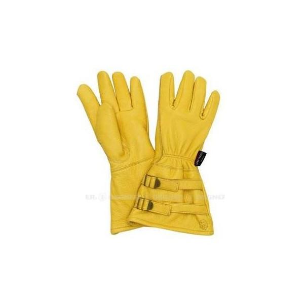 WL235W EHbVufBAXLEB^[O[uiOj ^ STCY fOi[iDEGNERj