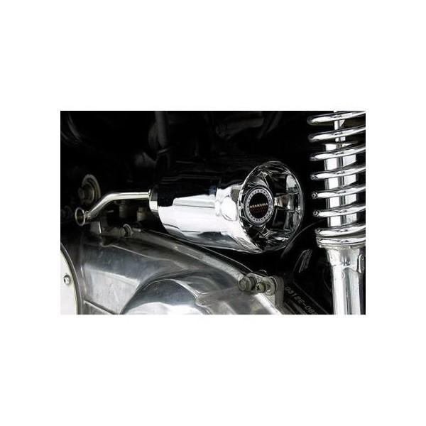 Oh}WFXeB250 p[tB^[Lbg ASAKURAiqj