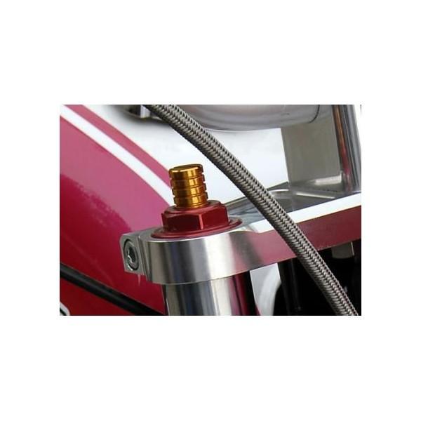 tgtH[NCjVAWX^[ AGRASiAOXj APE50EAPE100iGCvj