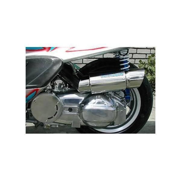 TCT[^GAN[i[Lbg|bp[^Cv ECYEBiWirusWinj }WFXeBiMAJESTYj4HC