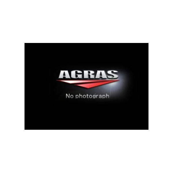 tgtH[NCjVAWX^[ AGRASiAOXj W800