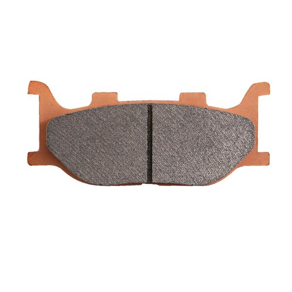 }OUiMAXAMj05`14N S[fpbhԁiu[Lpbhjtgp DAYTONAifCgij